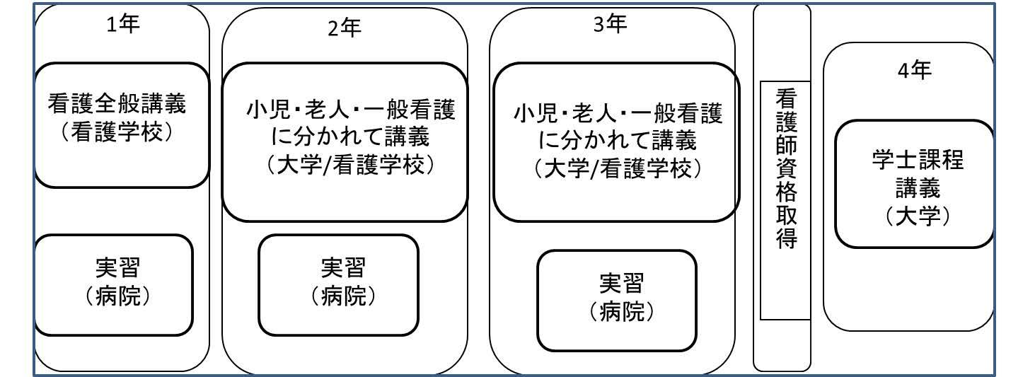 ドイツ看護大学課程図.jpg