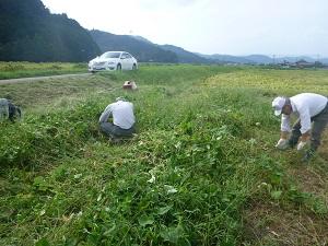 180906里山5.jpg