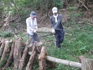 2018.7.11 里山1.jpg