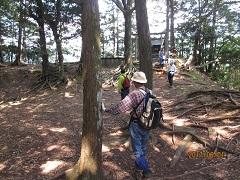 曲輪②と曲輪①と土塁.JPG